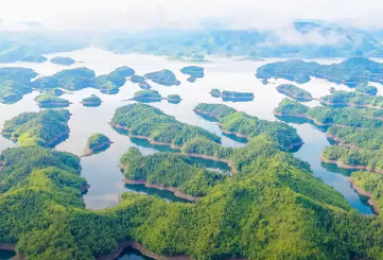 VẬN TẢI HOÀNG PHÚC VN