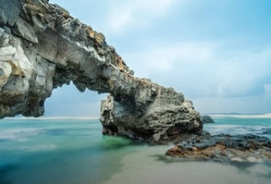 VẬN TẢI HOÀNG PHÚC VN